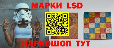 стафф Можга