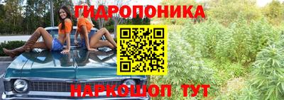 шишки Моздок