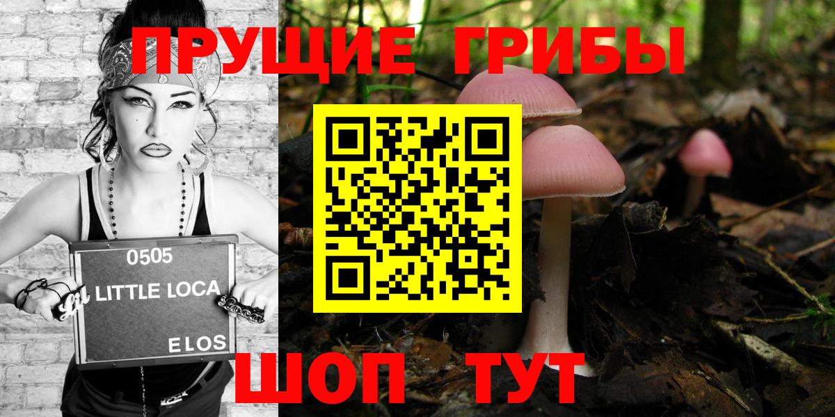 Алексеевка  Галлюциногенные грибы ЛСД  Вход с VPN  Псилоцибиновые грибы MAGIC MUSHROOMS 