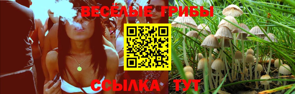 Галлюциногенные грибы Psilocybine cubensis Алексеевка